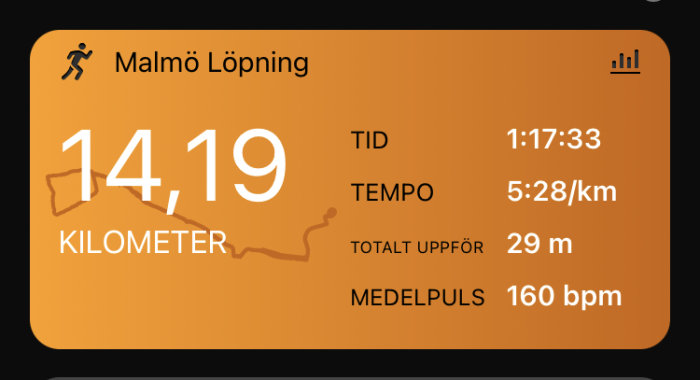 Skärmbild av löpapp med statistik: 14,19 KM, tid 1:17:33, tempo 5:28/km, totalt uppför 29 m, medelpuls 160 bpm.