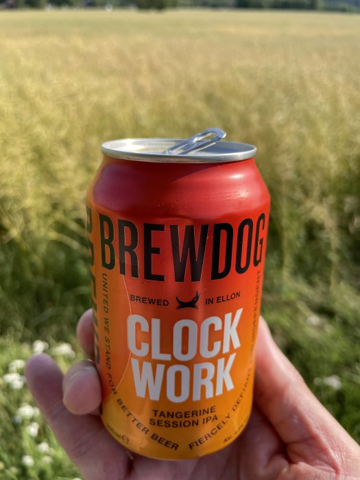 Hand håller en BrewDog Clockwork Tangerine Session IPA-burk framför ett fält.