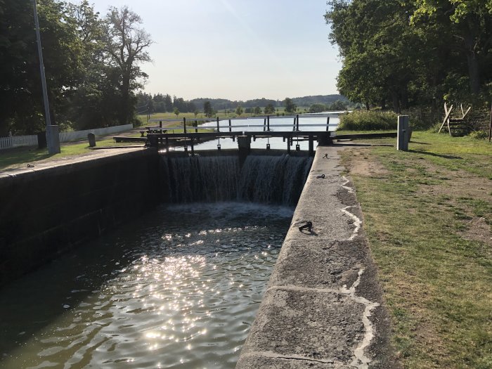 Solljus reflekterar på vattnet i en sluss med öppen dammlucka omgiven av grönska.