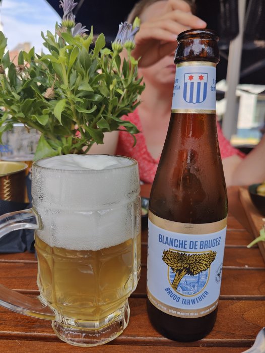 Glas med veteöl och en flaska Blanche de Bruges på ett bord med en planta och oskarp person i bakgrunden.