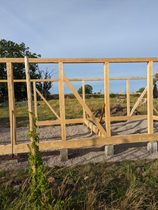 Trästomme för Byggnation med gruslagt golv och dränering under sommarhimlen.