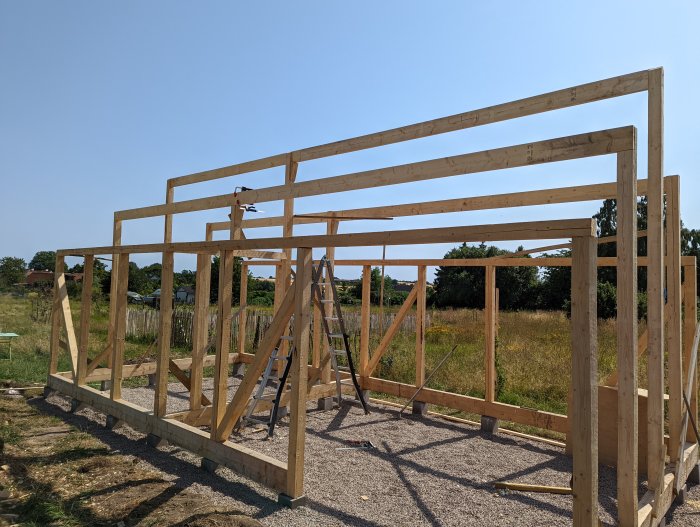 Trähölje av ett pågående bygge med åsar anslutande till stolpar och en stege mitt i konstruktionen.