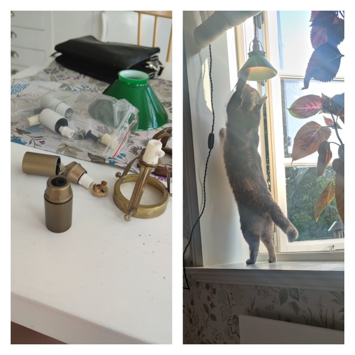Katt sträcker sig upp efter en taklampa vid ett fönster, bredvid en bild på ett oordnat skrivbord med lamppartsdetaljer.