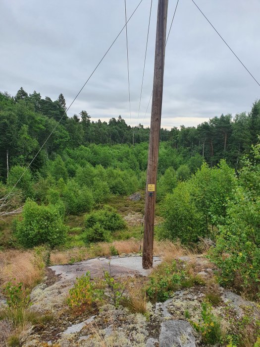 En telefonstolpe med ledningar mot en bakgrund av en grön skog och en klippig terräng.