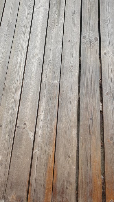 20220722_193734.jpg