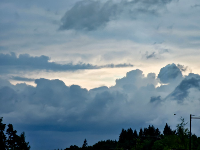 Dramatisk himmel med silhuett av trädtoppar mot tjocka, fluffiga moln i skymningen.