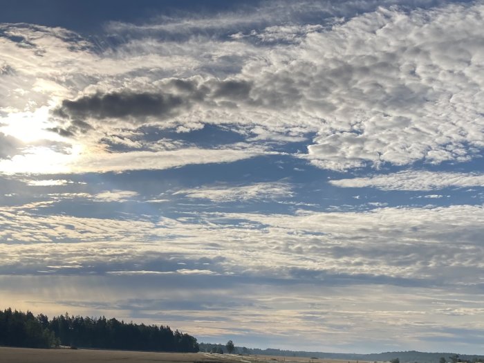 Dramatisk himmel med fluffiga moln över ett fält och skog i gryningen.