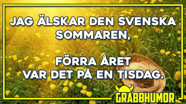 Solig äng med gult maskrosfält och en halmhatt, text som skämtsamt säger "Jag älskar den svenska sommaren, förra året var det på en tisdag.