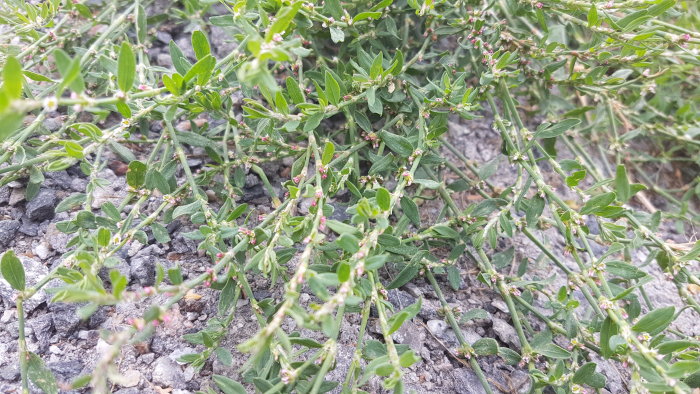 20220725_093808.jpg