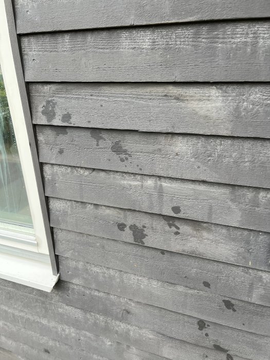 Grå träpanelvägg med fläckar och tecken på slitage nära ett fönster.