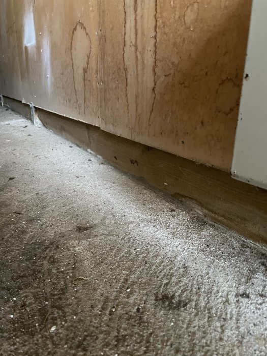 Vägg med fuktskador och mögel vid golvlisten i ett rum under renovering.