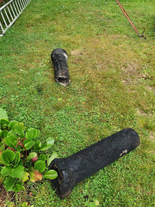 Två borttagna svarta rör ligger på en gräsmatta med en häcksax i bakgrunden.