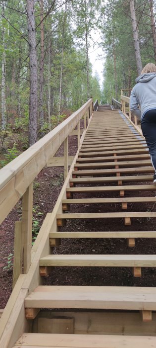 Nybyggd trätrappa i skogsmiljö, räcken på båda sidor, och en person som går uppåt i bildens kant.