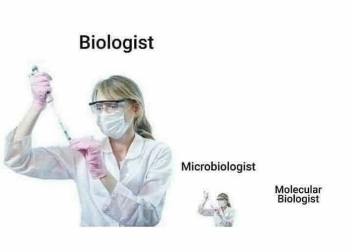 Tre biologer med olika skalor av arbete, från att hantera ett stort provrör till ett mycket litet.