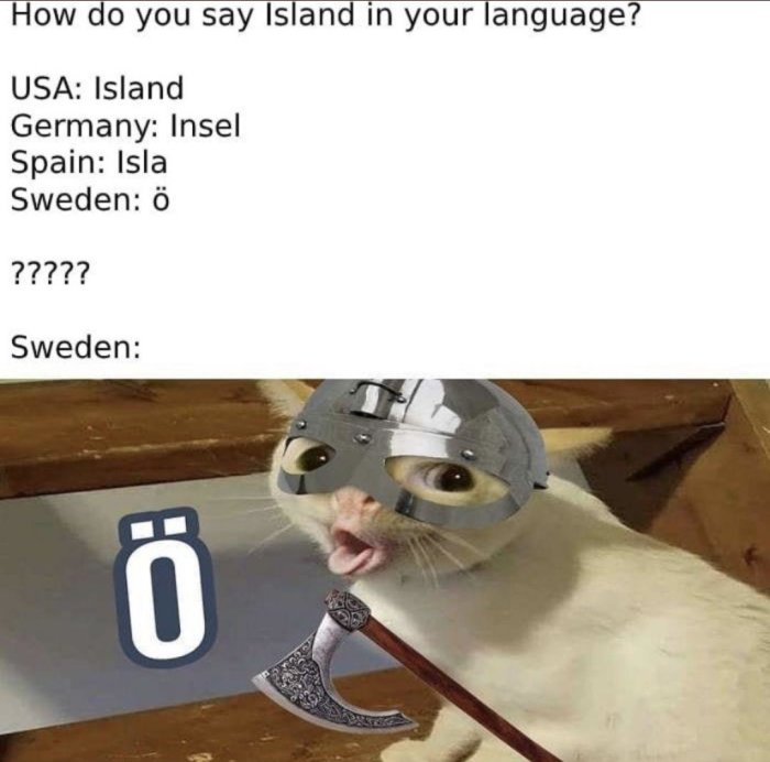 Katt klädd som en viking med en hjälm och en yxa bredvid ett "ö" tecken, symboliserar det svenska ordet för ö.