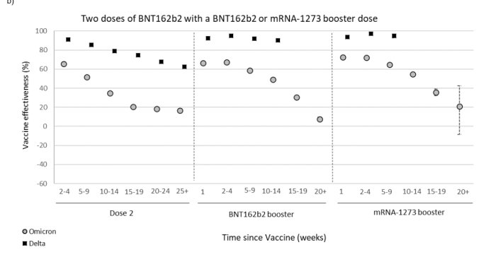 Diagram som visar vaccinets effektivitet mot omikron- och deltavarianterna över tid efter olika doser.