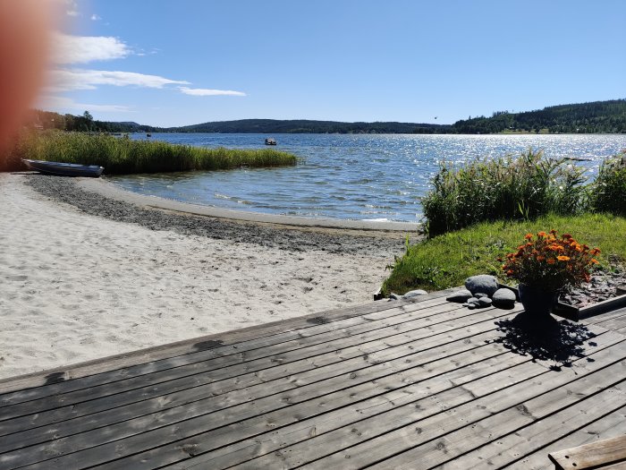 Trätrall vid strandkanten med blomkruka, båt och utsikt över glittrande hav och himmel.