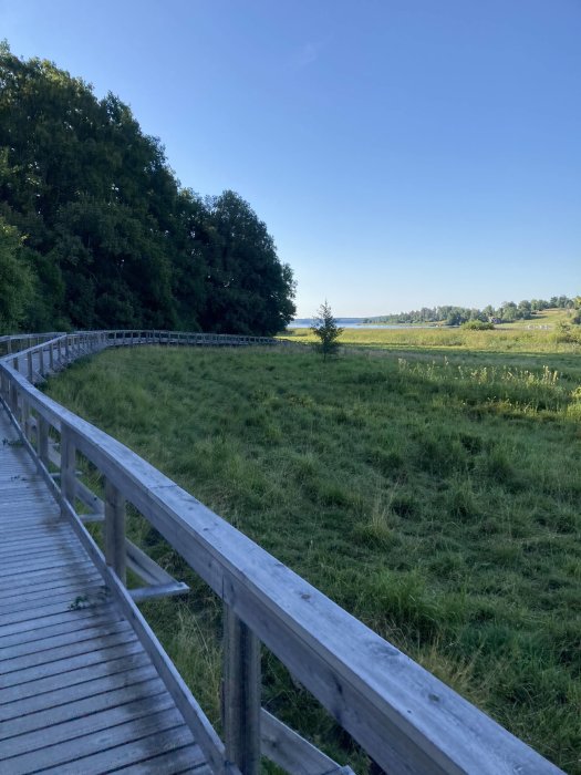 Trästaket längs en promenadstig brevid ett grönt fält och skog, med en klarblå himmel overhead.