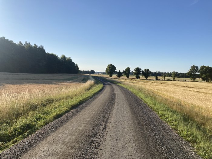 Grusväg som slingrar sig genom ett soligt landskap med fält och träd.