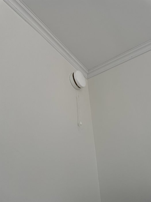Ett rundat ventilationssystemshål med en droppformad handtag i takkanten av ett rum.