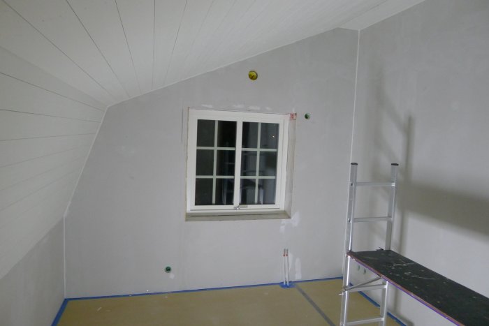 P1050346.jpg