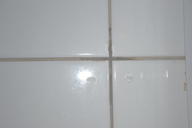 DSC_0004.jpg