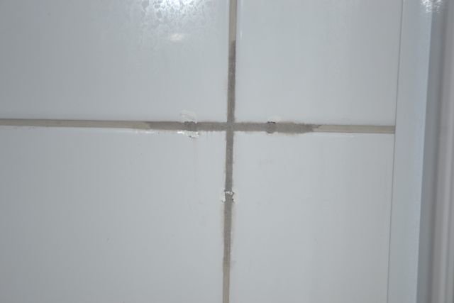 DSC_0005.jpg