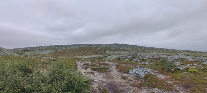 Molnig utsikt över ett kargt fjällandskap med stig och låga buskar.