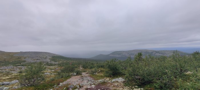 Vy över en kuperad fjällterräng med stigar och låg växtlighet en mulen dag.