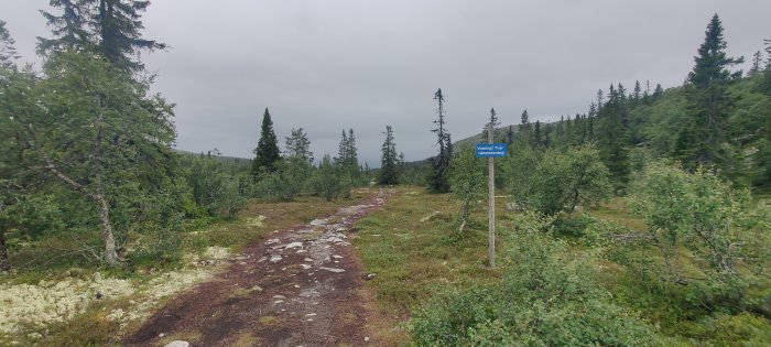 Stig genom skog med varningsskylt för två vänstersvängar.