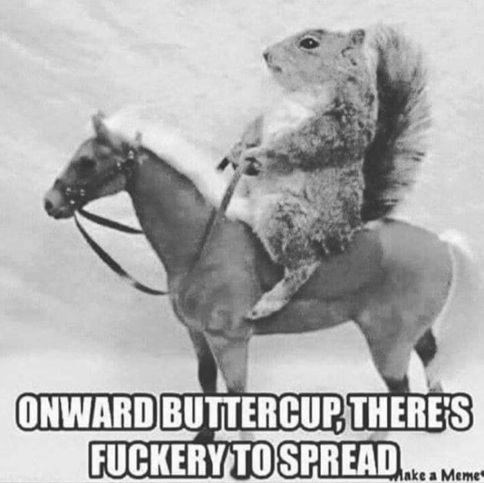 Humoristisk montagebild av en ekorre som rider på en häst med texten "Onward Buttercup, there's fuckery to spread".