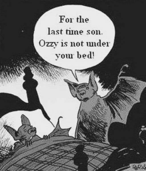 Illustration av en stor fladdermus och en mindre som pratar, med pratbubbla: "For the last time son. Ozzy is not under your bed!