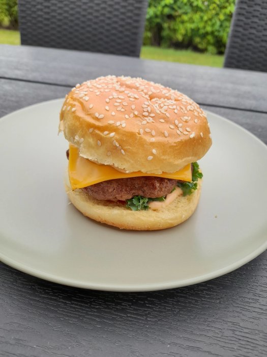 Hemmagjord hamburgare med ost och sallad på en tallrik utomhus.