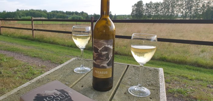 Vinflaska och två glas på bord utomhus med boken "Jodi Picoult - Nineteen Minutes" och landskap i bakgrunden.