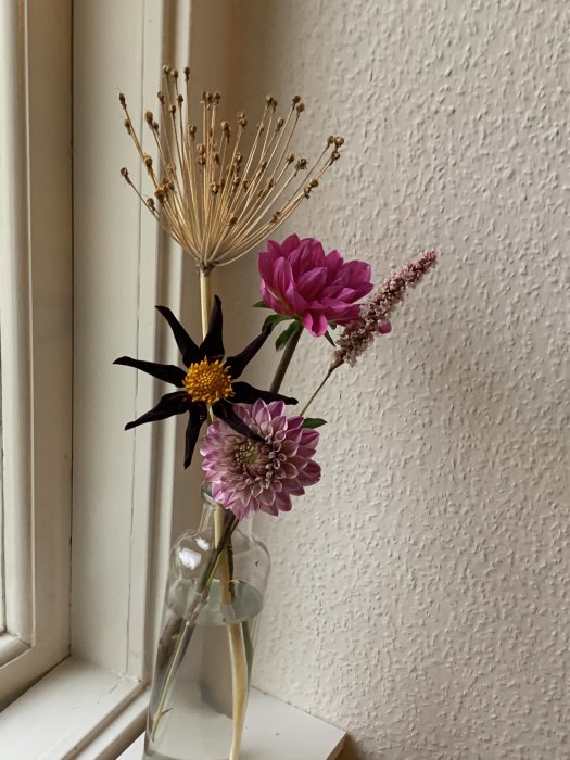 Bukett med Dahlia, Allium och Ormrot i en glasvas vid ett fönster.