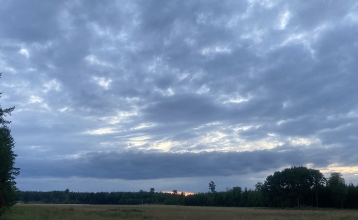 Dimmig solnedgång med dramatiska moln ovanför en öppen äng och silhuetter av träd.