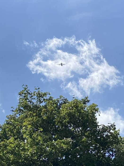 Flygplan i himlen, synligt genom ett område av vita moln ovanför gröna trädtoppar mot blå himmel.