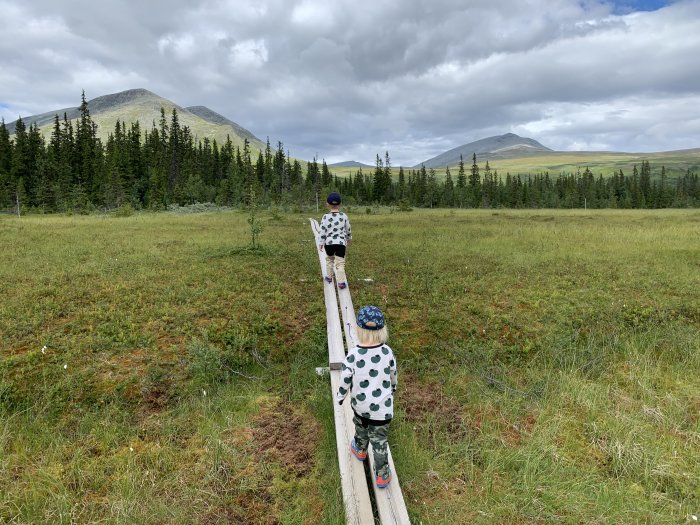 Två barn går på en träspång i fjällandskap med berg och skog i bakgrunden.