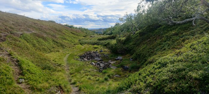 Panoramavy över en grön fjällsluttning med en vandringsled och stenar under en molnig himmel.