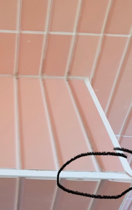 Tak med rosa kakel och vit taklist, med en markerad defekt på listan.