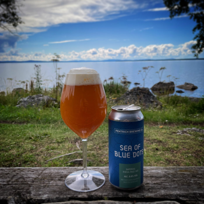 Ölglas med orange öl vid sjölandskap och en ölburk "Sea of Blue Dots" på en träbänk.