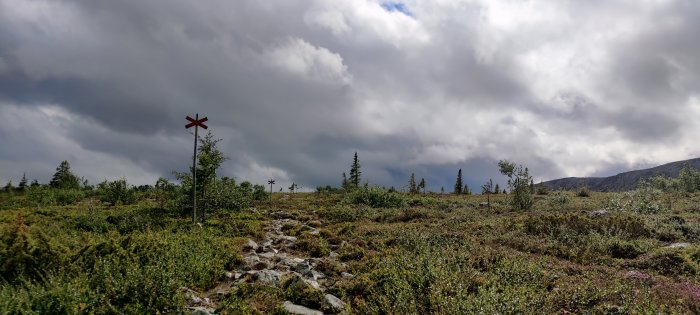 Stig i fjällterräng markerad med röda kryss under molnig himmel.