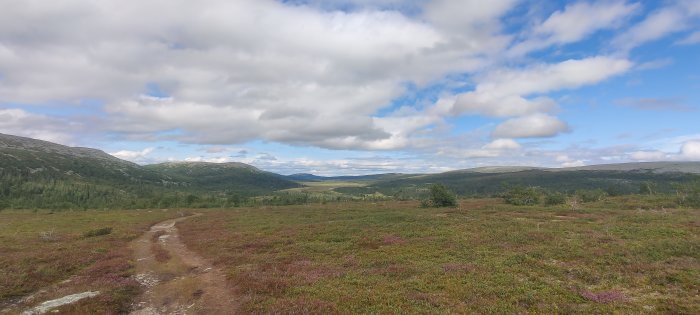 Vandringsled genom fjällandskap med molnig himmel.