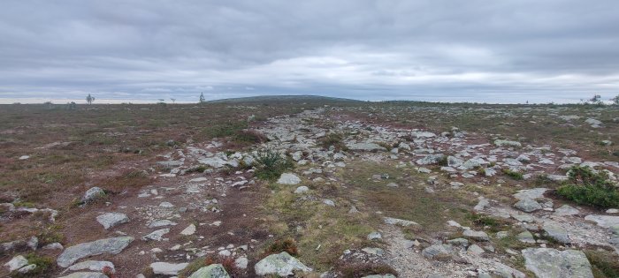 Stenig vandringsled genom fjällterräng med låg vegetation och molnig himmel.