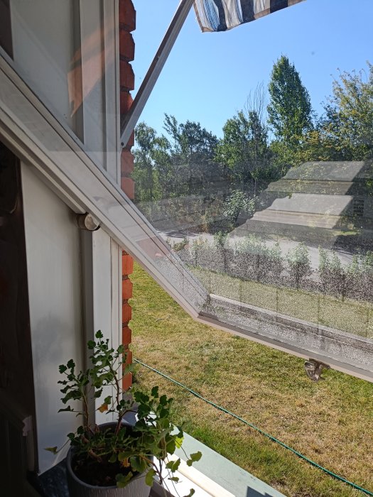 IMG20220806093143.jpg