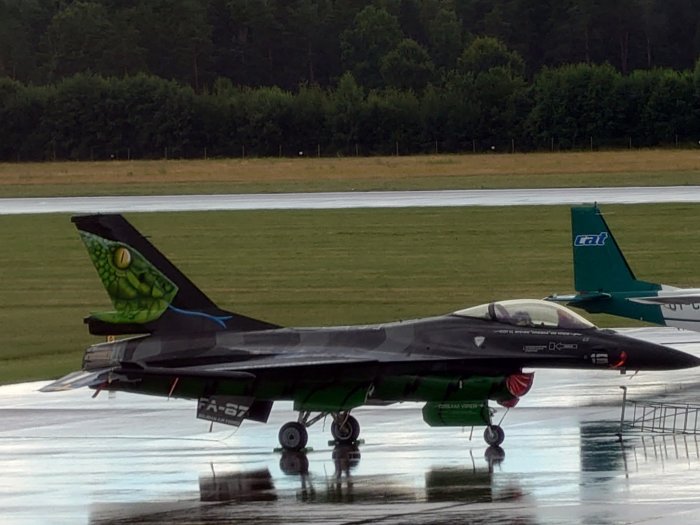 F-16 Fighting Falcon stridsflygplan med ödlemålning på stjärtfenan parkerat på våt landningsbana.