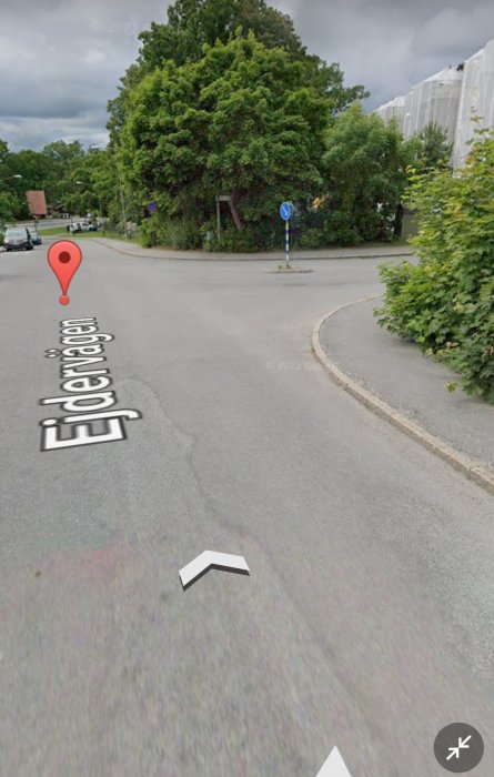 Gatukorsning mellan Gräsandsvägen och Ejdervägen med vägskyltar och grönska.