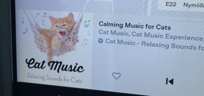 Skärmvisning av 'Calming Music for Cats' på digital spelare med bild av en sjungande katt.