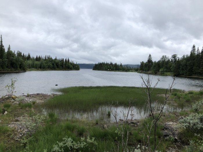 Molnig vy över en sjö med omgivande träd och grönska samt ett berg i bakgrunden.