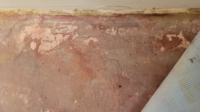 Närbild av en vägg med fukt- och mögelskador samt flagande färg vid golvlisten.
